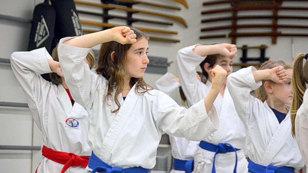 L’apprentissage du karaté peut être très bénéfique pour les enfants qui souffrent d’intimidation à l’école